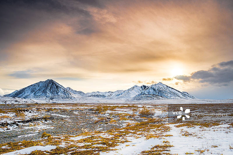 北极苔原图片素材