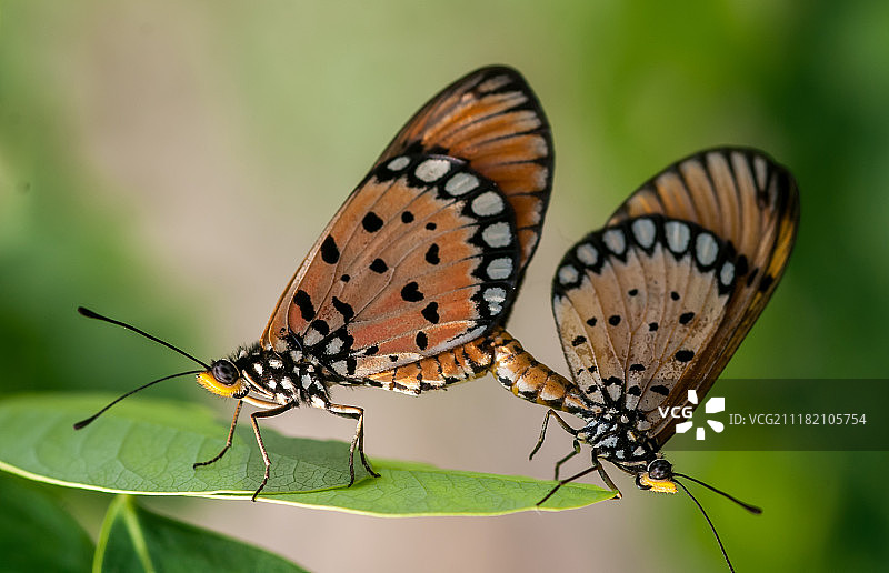 玩得开心图片素材