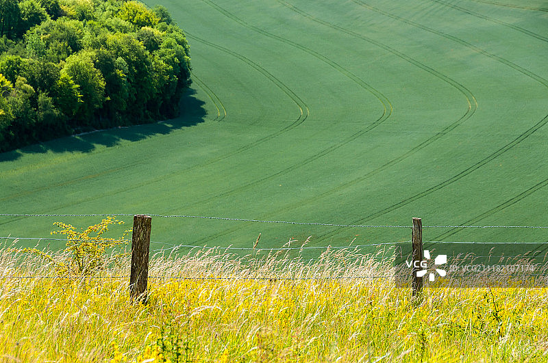 线条与曲线图片素材