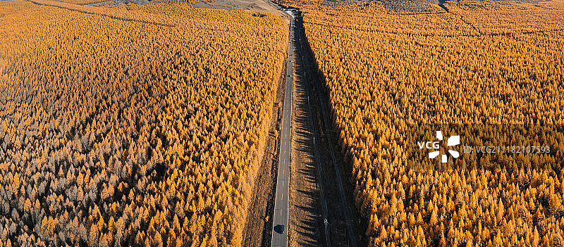 森林公路秋色图片素材