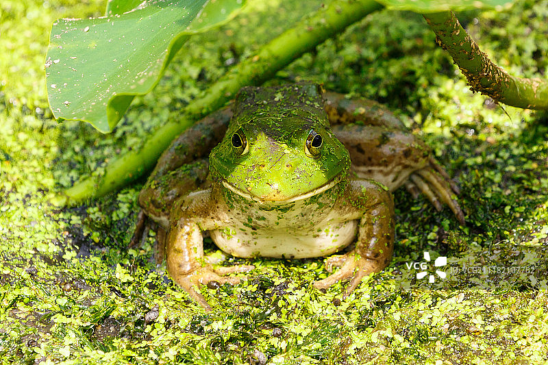 阴影效果图片素材