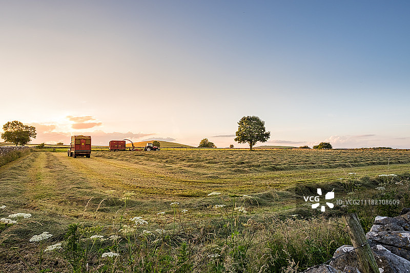 制作干草图片素材