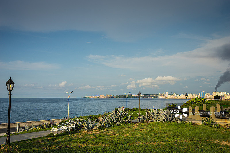 绿植与城市背景海岸线图片素材