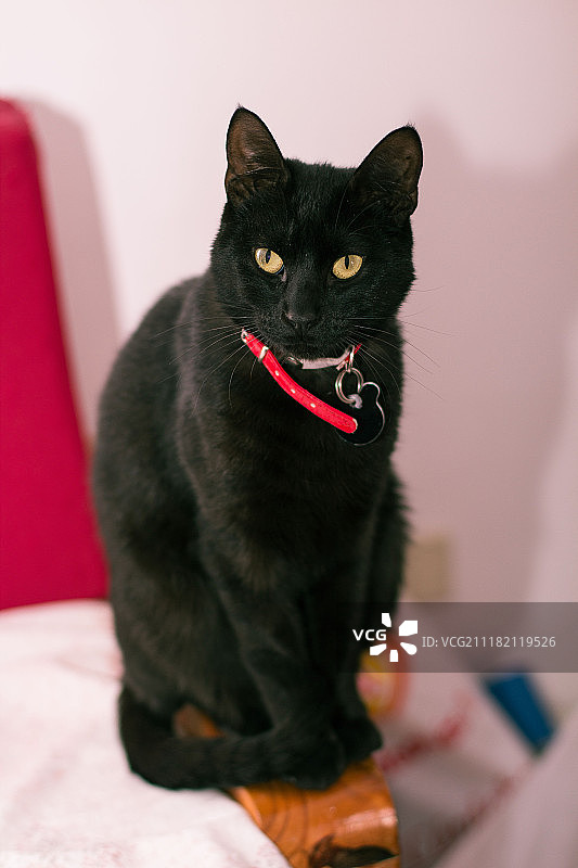 注视着你图片素材