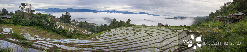 雨季的梯田图片素材