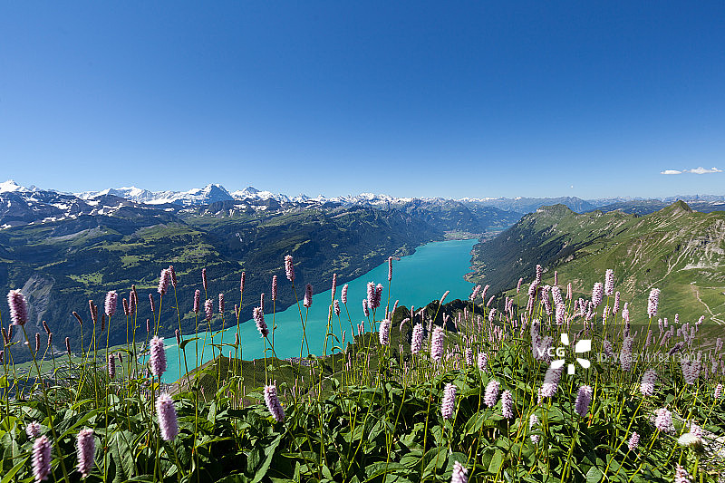 从布里恩茨·罗特峰看布里恩茨湖图片素材