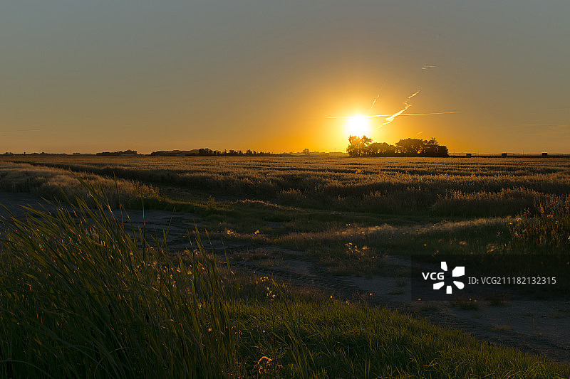 橙色傍晚图片素材