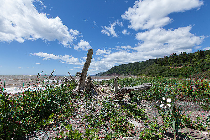 在海滩上图片素材