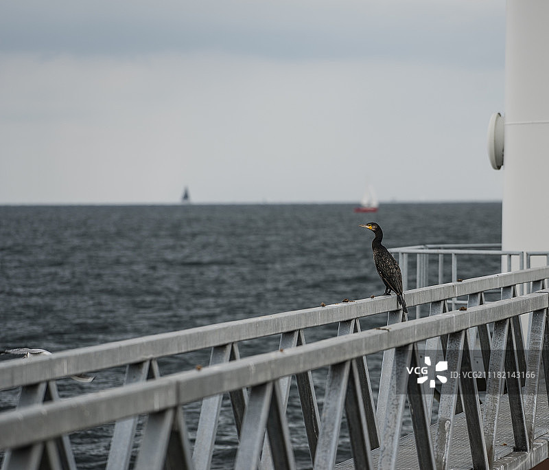 艾瑟尔湖景观图片素材