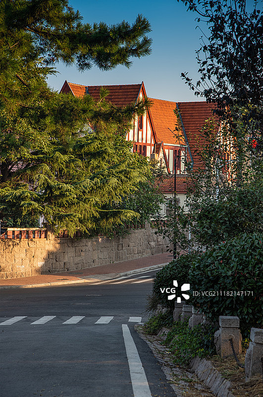 青岛八大关的早晨图片素材