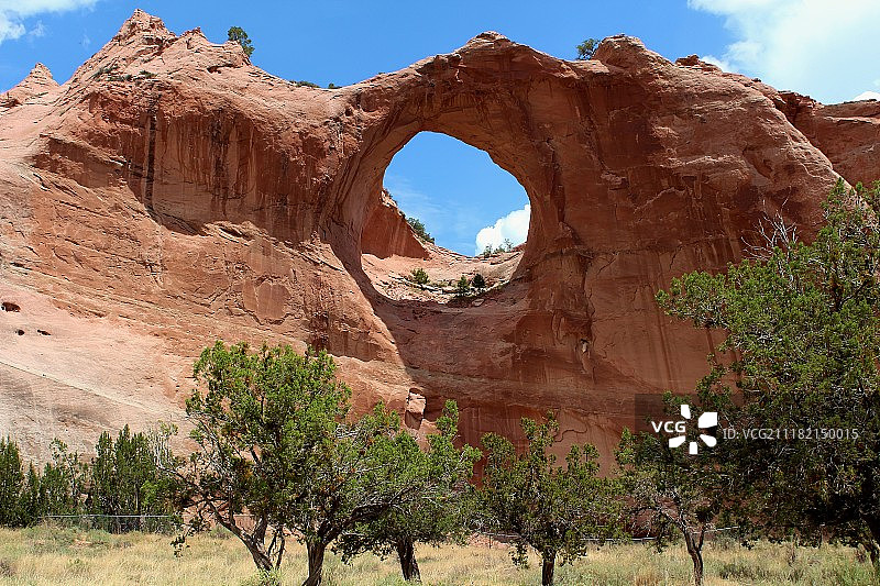 岩石与树木图片素材