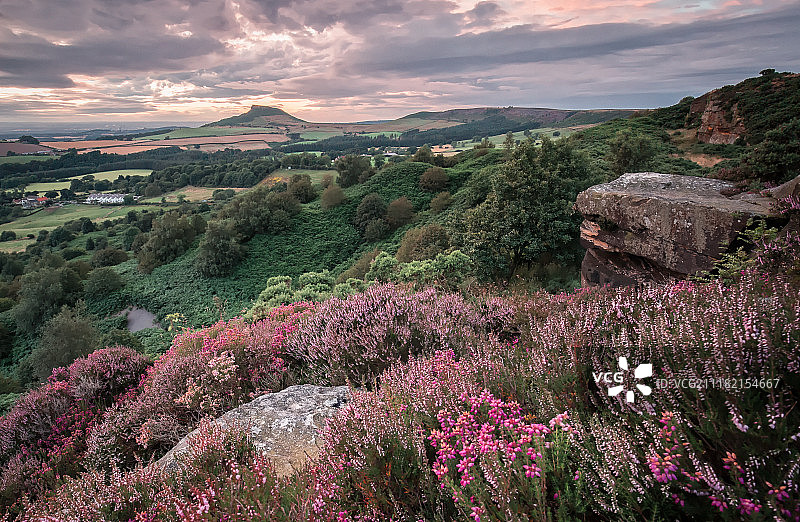 多山荒野地形与石楠花和阴沉天空图片素材