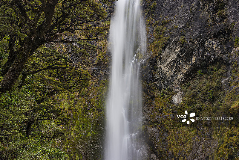 新西兰的魔鬼潘趣酒碗图片素材