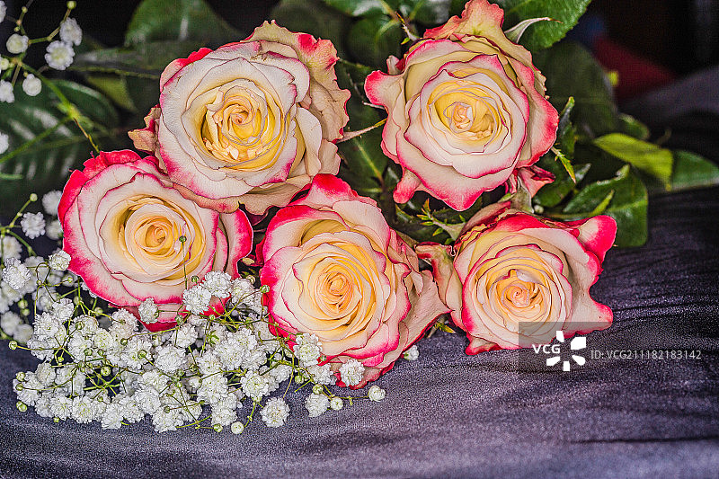 粉色玫瑰花束图片素材