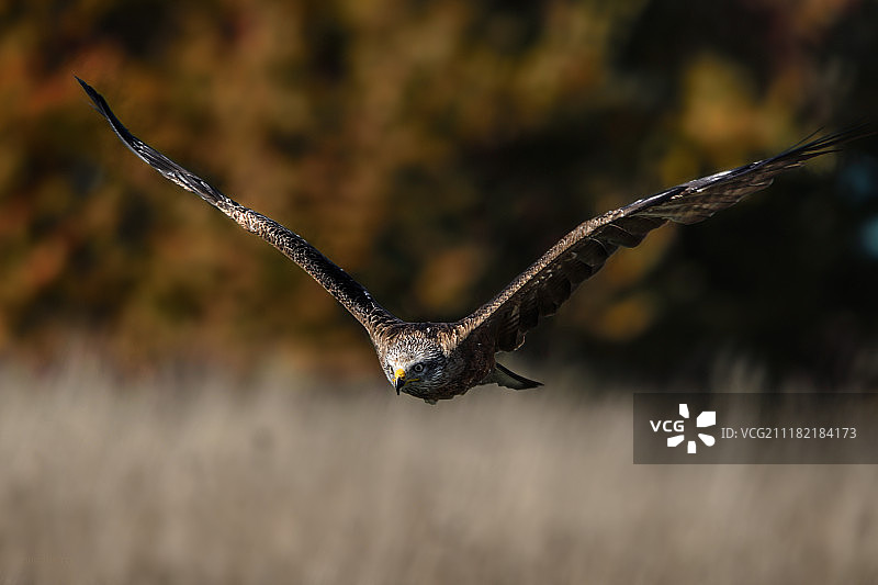 雷达下方图片素材