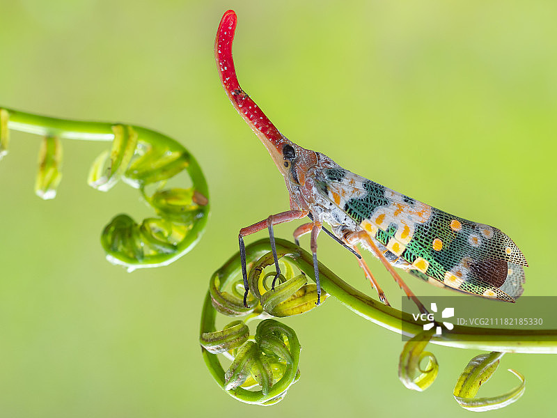 弯曲的喷嘴图片素材