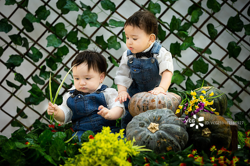 两个孩子的视角图片素材