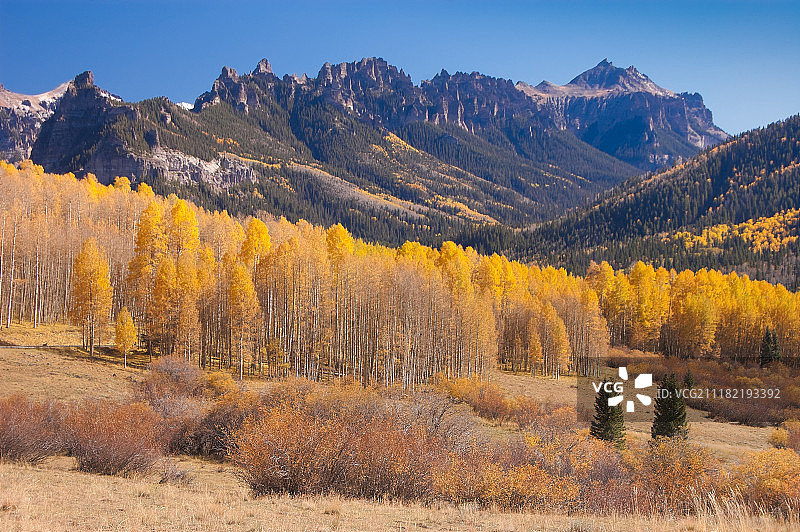 科罗拉多州里奇威西马隆地区的秋色图片素材