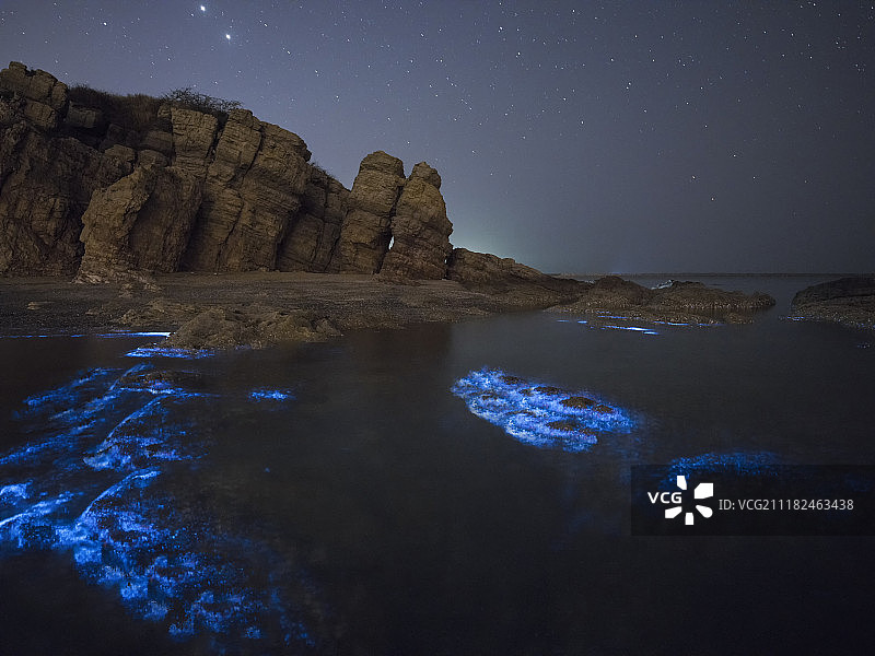 荧光海图片素材