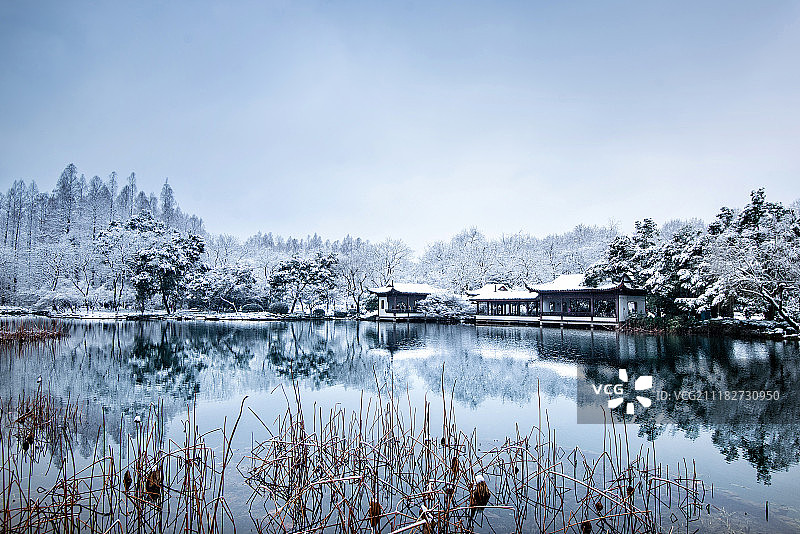 杭州曲院风荷雪景图片素材