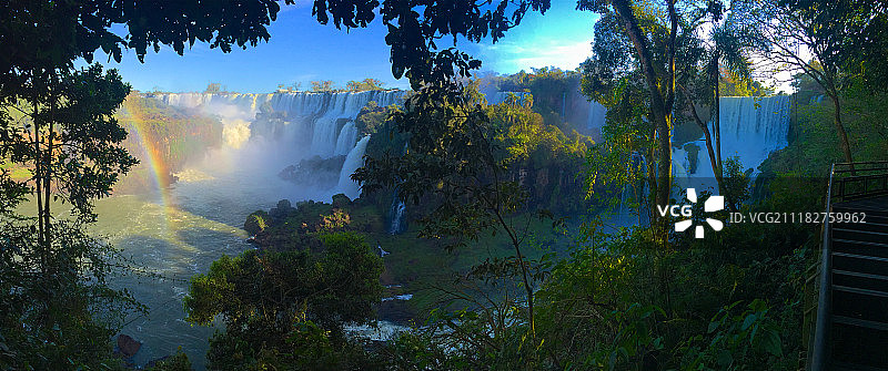 巴西伊瓜苏瀑布的热带雨林图片素材