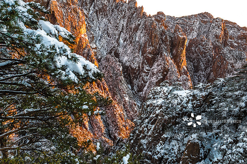 涂金时间图片素材