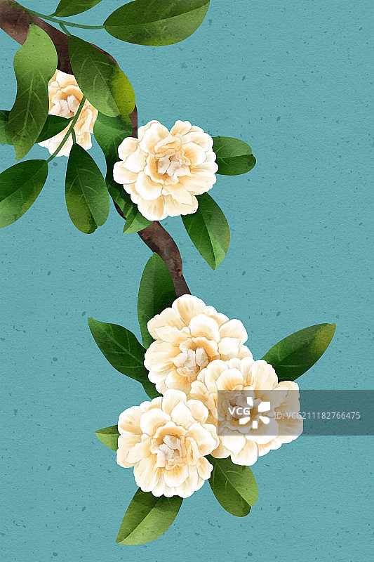 清新水彩风格植物系列木香花图片素材