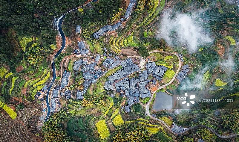 丽水梯田图片素材