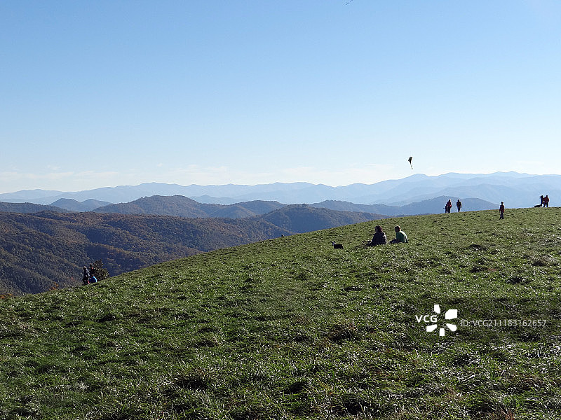秃顶的人图片素材