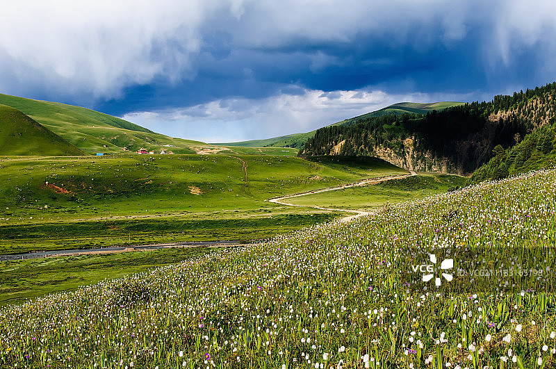 遥远的寺庙图片素材