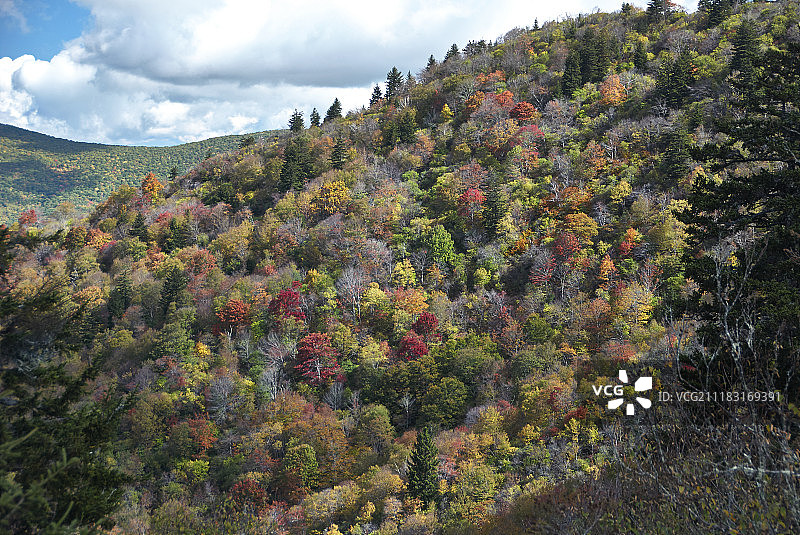 蓝色山脊公园的印度夏季图片素材