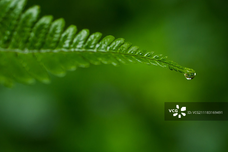 准备好出发！图片素材