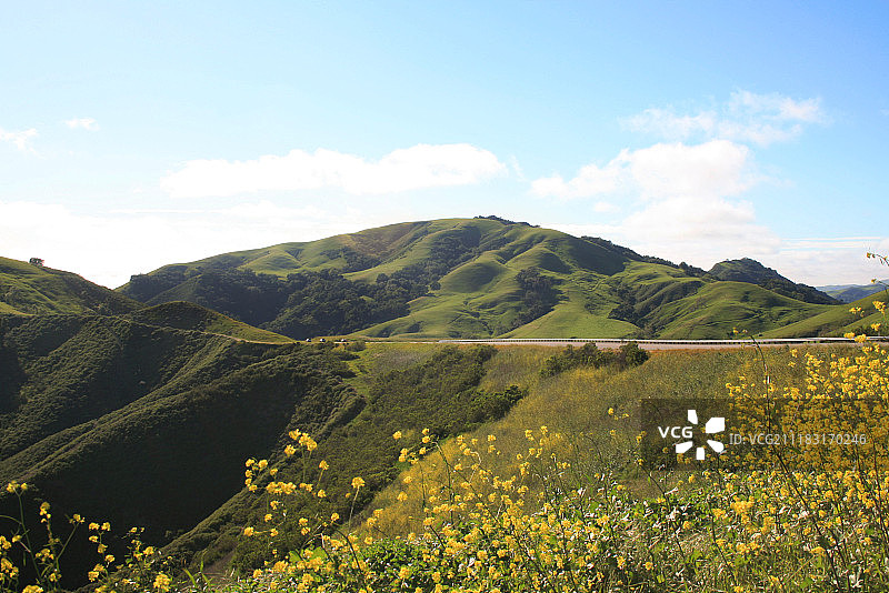 海边绵延的牧场图片素材