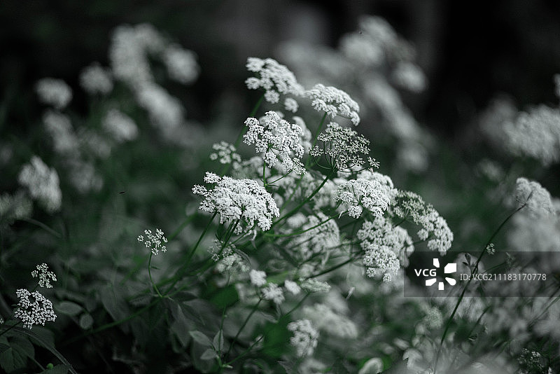 走向你图片素材