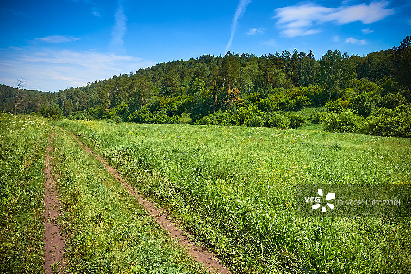 萨马拉雅保护区夏日美丽风景图片素材