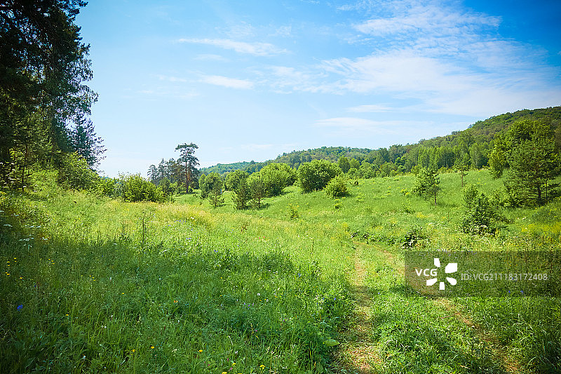 萨马拉雅保护区夏日美丽风景图片素材