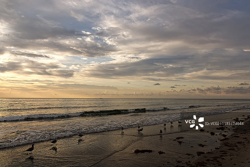 南佛罗里达海滩金色时段图片素材