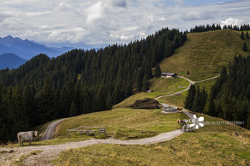 巴特科尔格鲁布图片素材