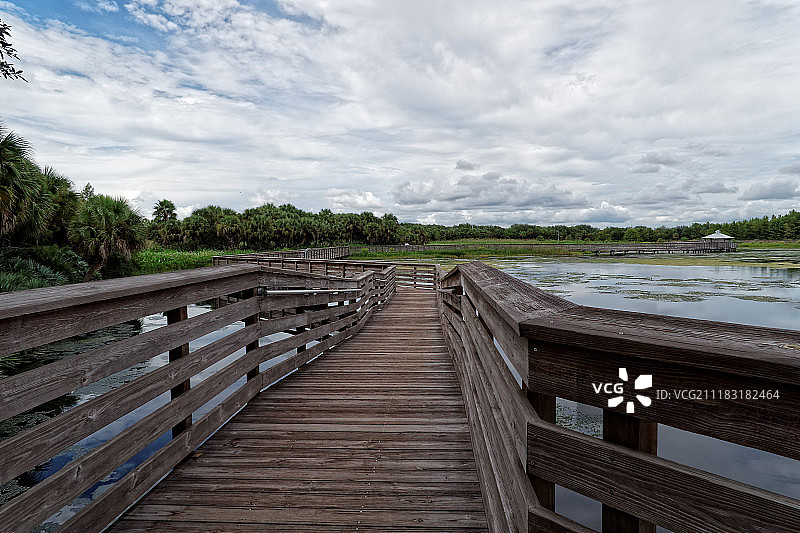 佛罗里达湿地蜿蜒木板路图片素材
