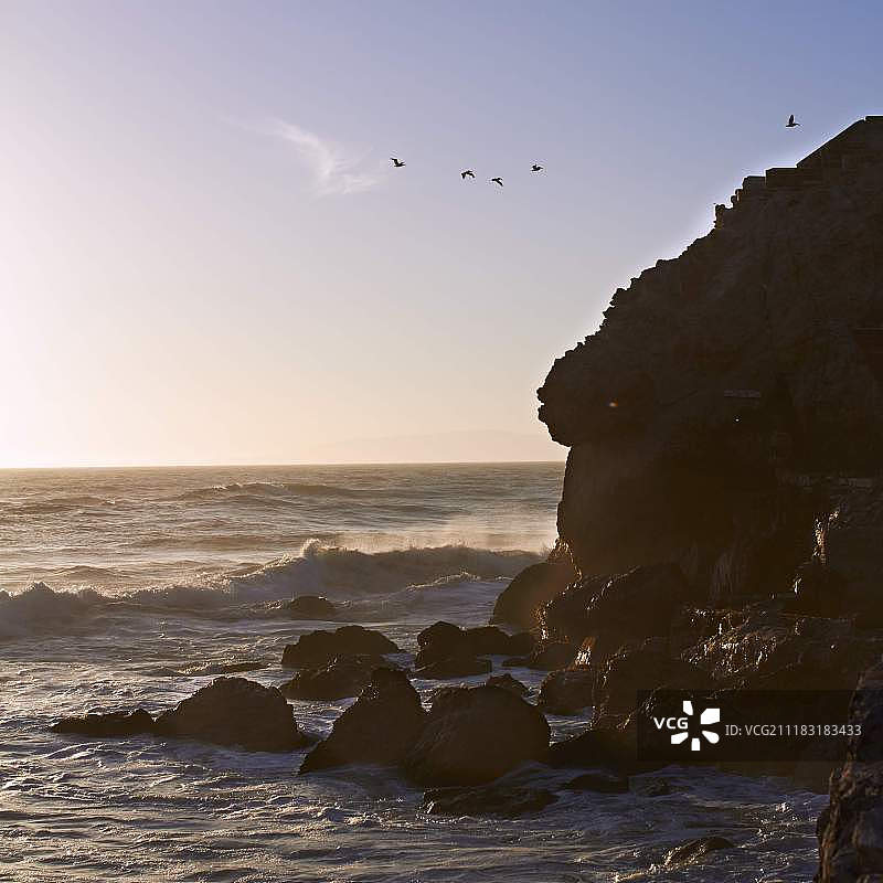 海洋、岩石和鸟类图片素材