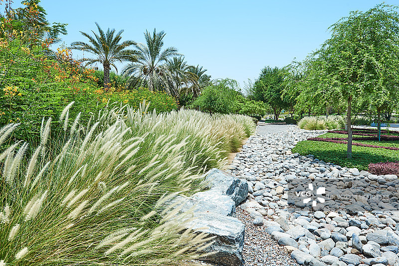 园林景观公园图片素材