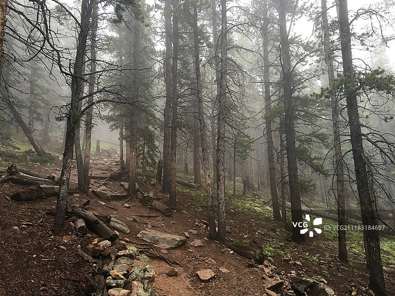 埃尔伯特峰小径图片素材