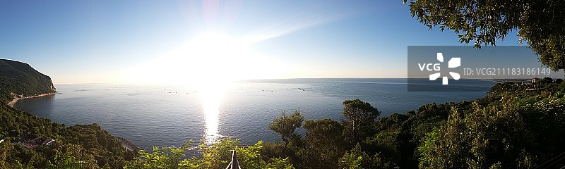 科内罗图片素材