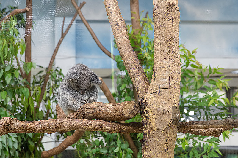 城市的观点图片素材