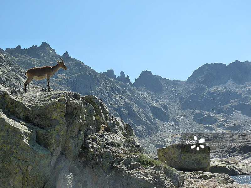 格雷多斯山脉，西班牙图片素材