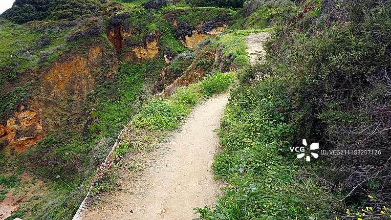 多纳安娜图片素材