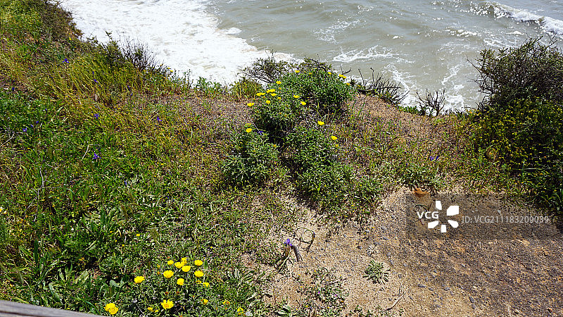 罗查海滩图片素材