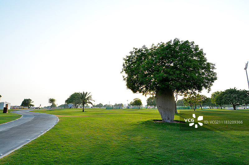 多哈Aspire公园的绿色环保活动图片素材