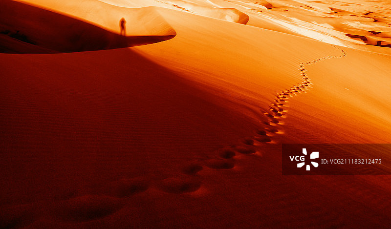 橙色世界：大沙丘图片素材