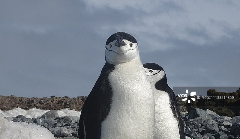 南极洲图片素材